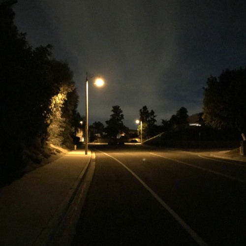 notlieu - Random Song