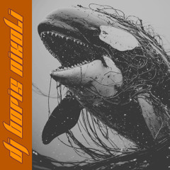 DJ Boris Nikoli - Orca [SPLIT004]