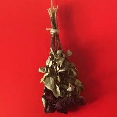 No Brakes - Rose Bud (original demo)