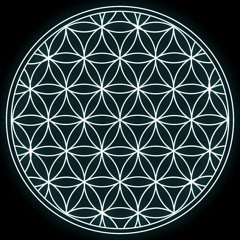 Infinity Revolution