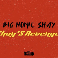 Shay’s Revenge (Roman’s Revenge Shaymix)