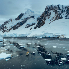 antartica hardtekk