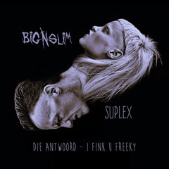 Die Antwoord- I FINK U FREEKY (Big N Slim Suplex)