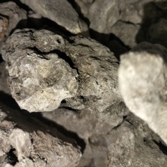 Black copal (cleansing space  mix )(महाराणा कुम्भा)