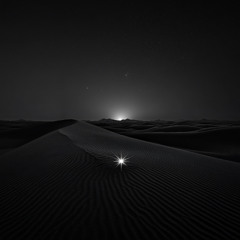 Dani Grigu - Desert Moonrise