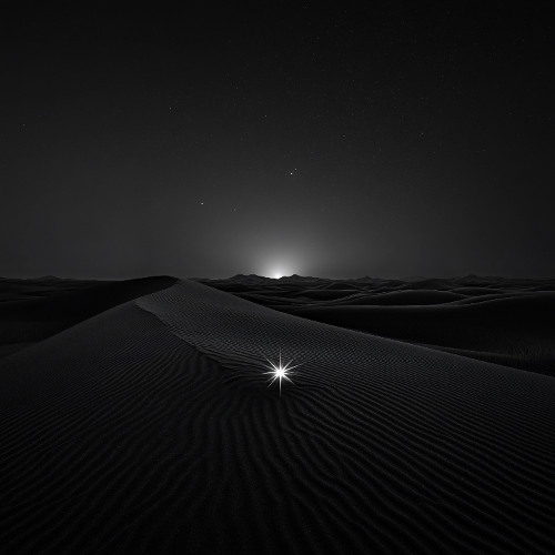 Dani Grigu - Desert Moonrise