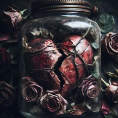 Broken Heart Collector (Cover)
