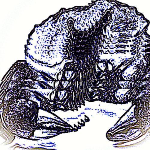Perusing the Ocean Floor
