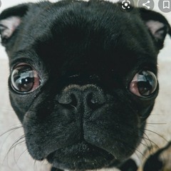 Ear Rape Crackhead World Buggles