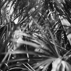 Djan Chelik - Moscow Electronic Association Podcast 013