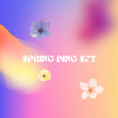 Spring Ding Set ( Mai 2025 )