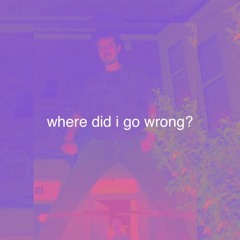 where did i go wrong?