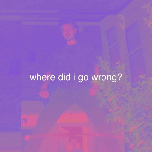where did i go wrong?