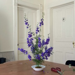 派手な英語 ft. exe (prod. jdolla)