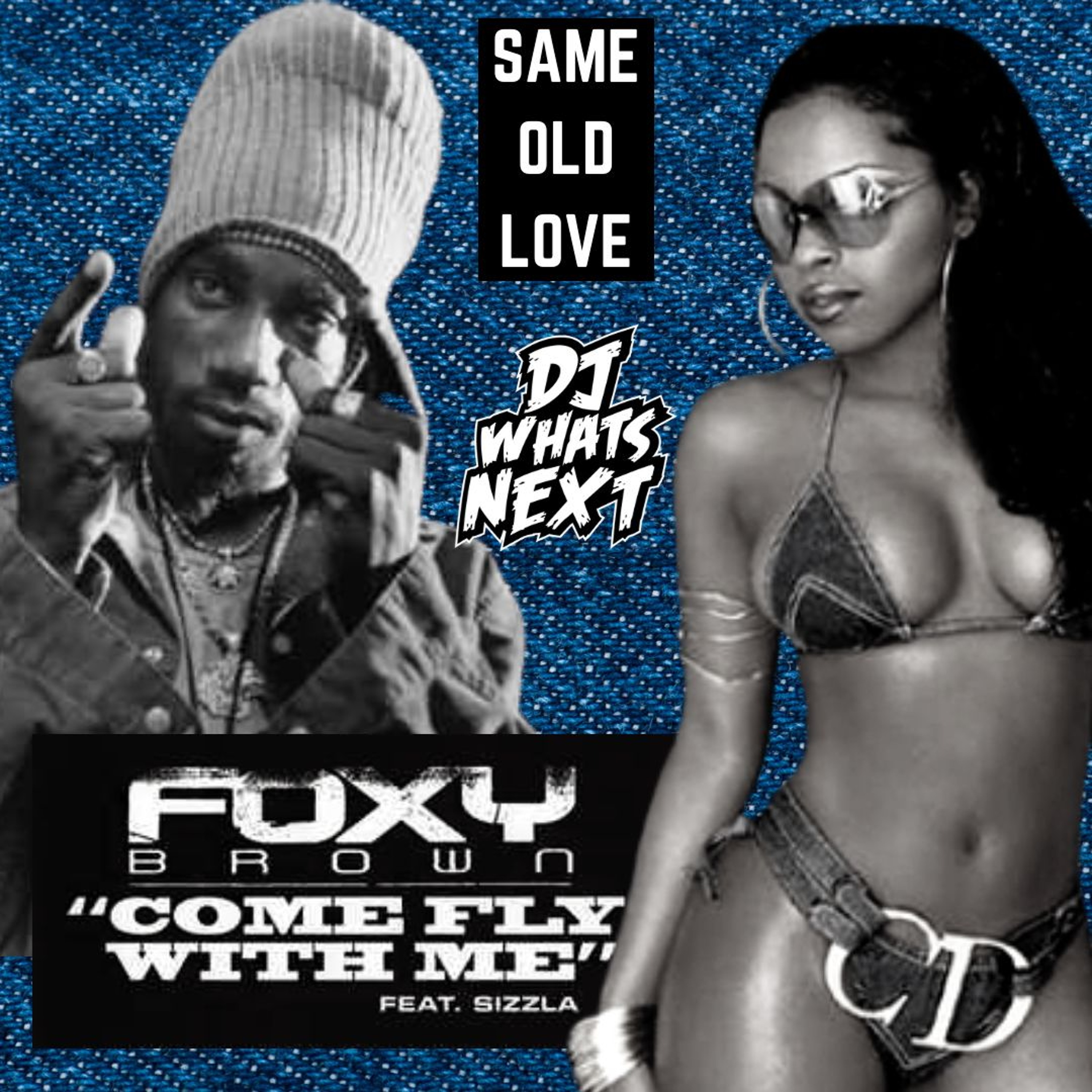FOXY BROWN FT. SIZZLA - COME FLY WITH ME (SAME OLD LOVE) (DJ WHATSNEXT EDIT) (CLEAN)