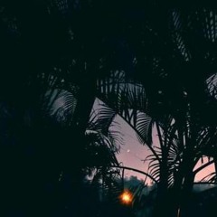 FLORIDA PROD. SAURON