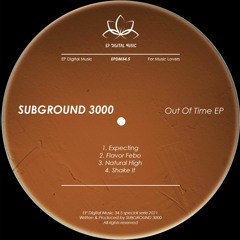 Subground 3000 - Flavor Febo (Original Mix)