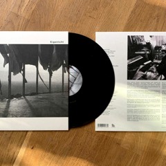 John Gürtler - Eigenlicht [COUNTER019 12'' LP] preview