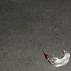 El llamado del vacío