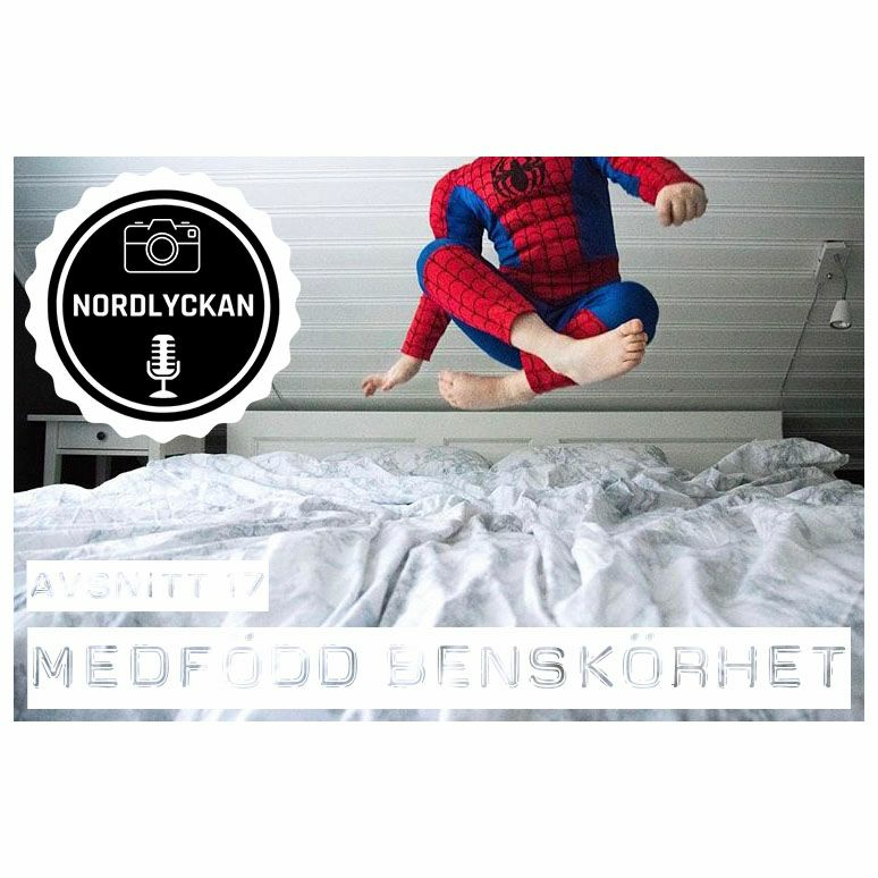 Nordlyckan
