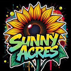 Shambhala 2025 Sunny Acres Dj set live at the Living Room