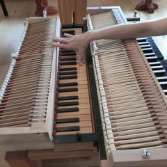 Domenico Scarlatti, Sonata in C Minor, K. 11, on Silbermann Piano (7 - 23)