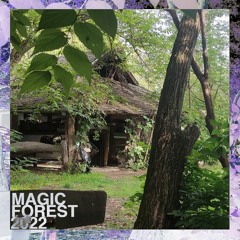 magic forest 2022