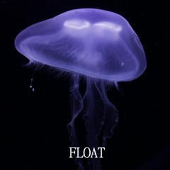 Float