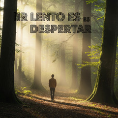 Ir lento es despertar V2