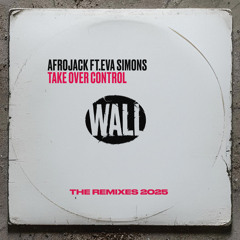 Take Over Control (feat. Eva Simons) [Antoine Delvig x NLW Remix]