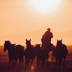 Whispers in the dust