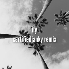 ily baby [certifiedjanky remix]