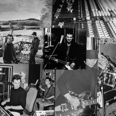 British Racing Pigeon Demo...Hard Times