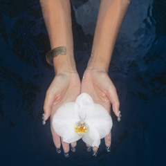 blooming (Shaz's Lullaby)