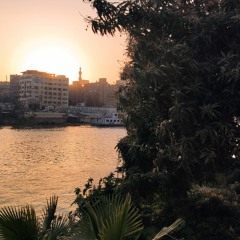 لم يكن الأمر يستحق العناء