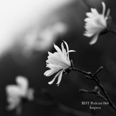 BDT Podcast 066 - Imprea