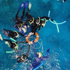 Best Seastar Luxury Outer Great Barrier Reef Island And Tour From Cairns Tours Review