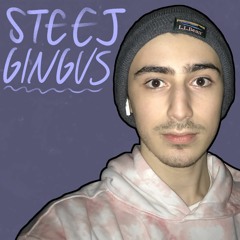 steej/gingus Interview - The Backlight Podcast Ep. 19