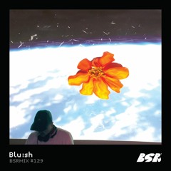 BSRMIX #129 - Blu:sh