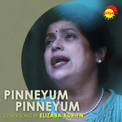Pinneyum Pinneyum (Recreated Version)