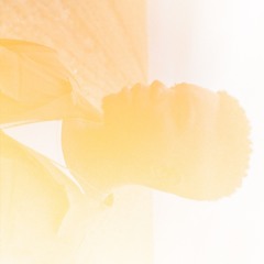 MY ULTIMATE SELF (STRIPPED ALT)