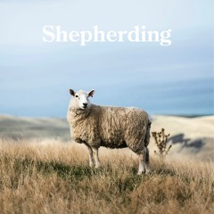 Shepherding God's People