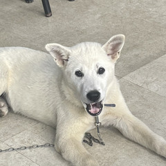 원해 (Prod. neversad)