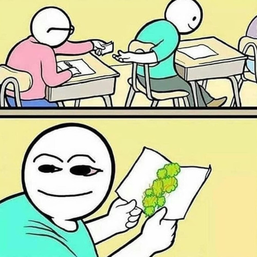 SIMPLE OG SHIT