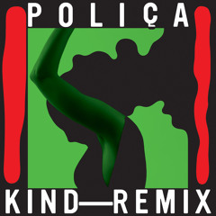 Kind (Boys Noize Remix)
