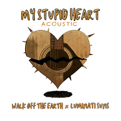 My Stupid Heart (Acoustic Version)