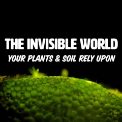 The Invisible World Your Plants And Your Soil Rely Upon 2024 With Matt Powers