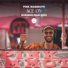 Ace On - Pink Mammoth - Burning Man 2023