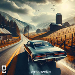 Tyler Childers - Whitehouse Road (DJ Recognize Remix)