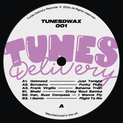 PREMIERE: Hotmood - Just Tonight [Tunes Delivery]